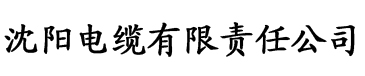 三上悠亚解说电缆厂logo